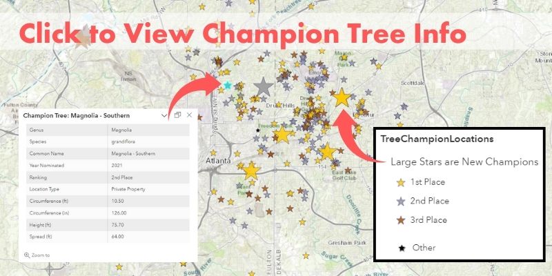 Atlanta’s Champion Trees | Trees Atlanta