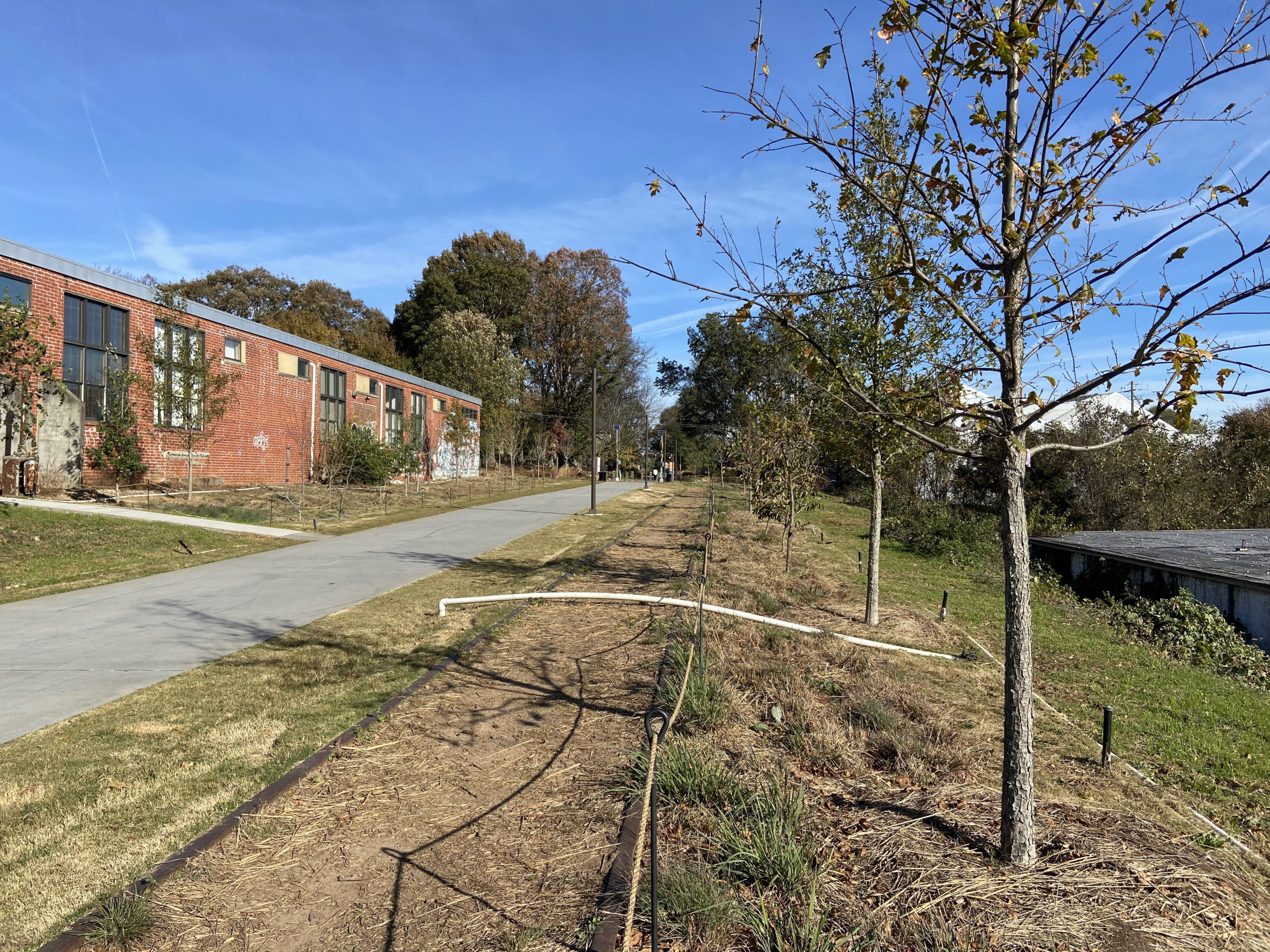 Arboretum16