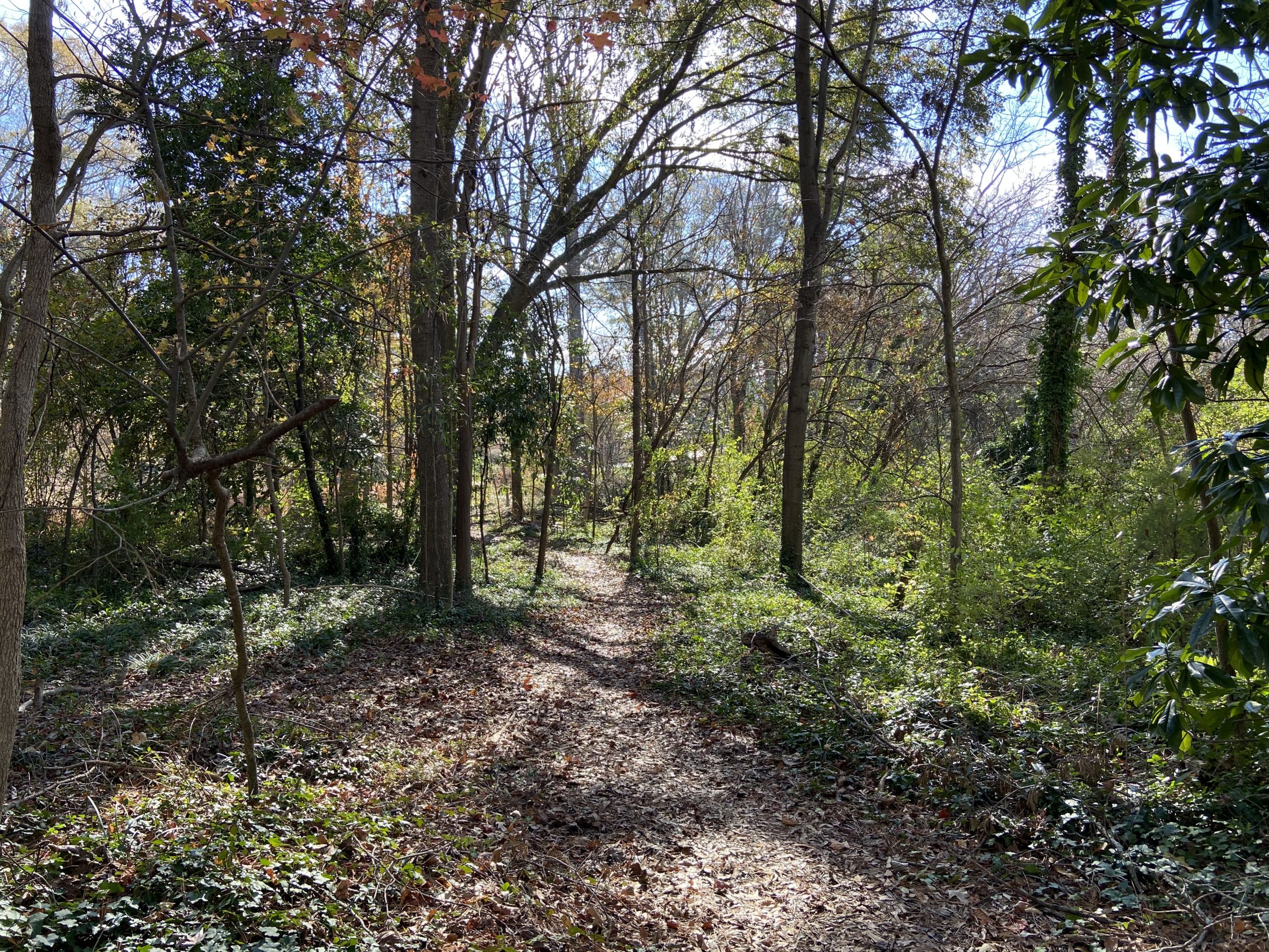 Arboretum2