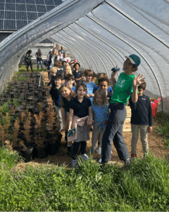 Tree nursery
