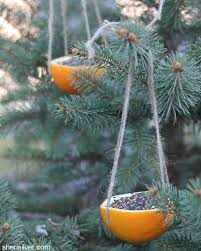 Birdfeeder2