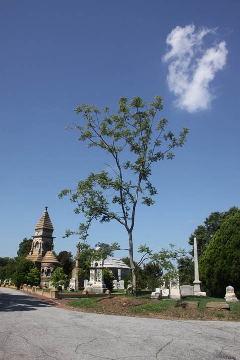 Oakland Cemetery