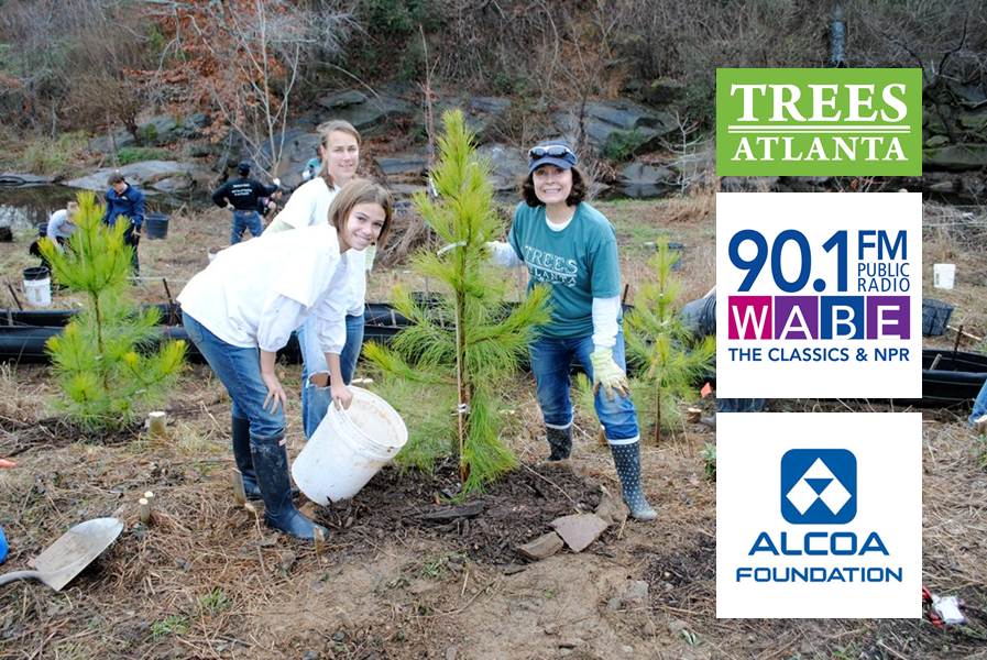 arbor day image